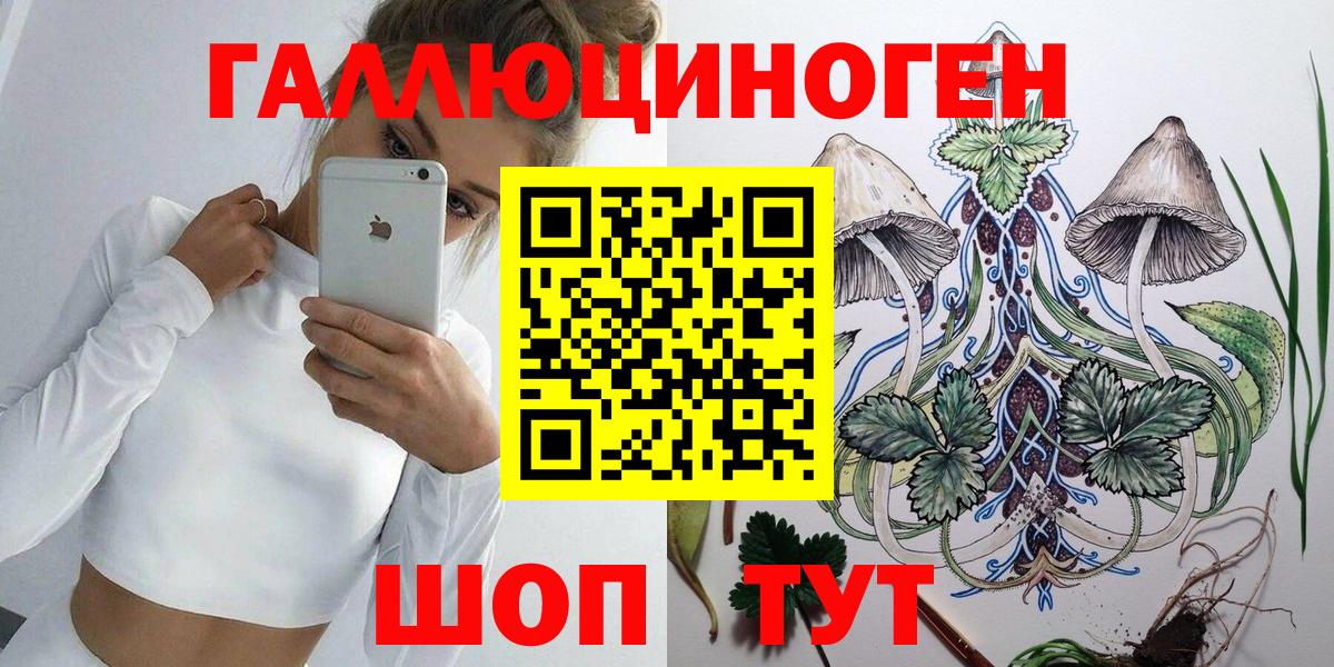 Псилоцибиновые грибы Cubensis  Вход с VPN  Качканар 